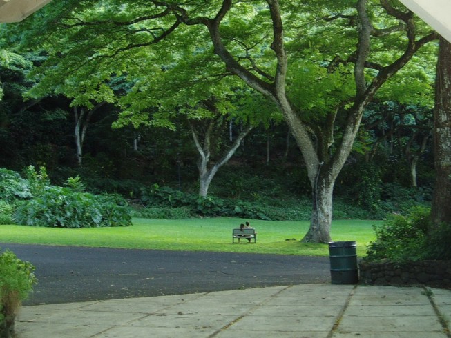 Hawaiian Park